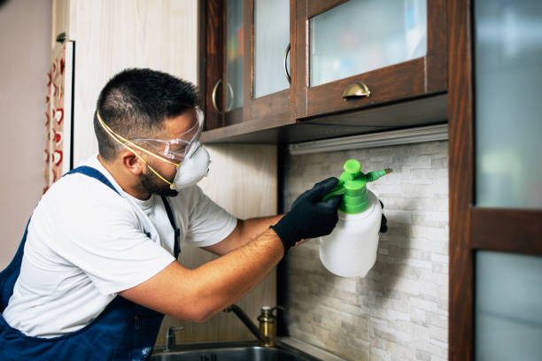 Best Pest Control for Homes  in Redan, GA