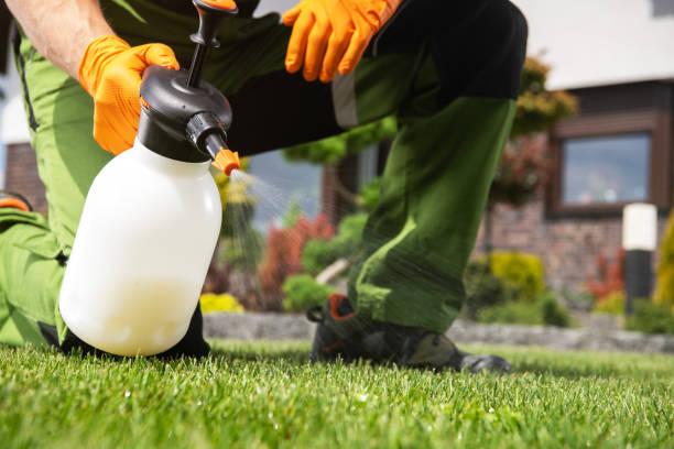 Best Best Pest Control Companies  in Redan, GA