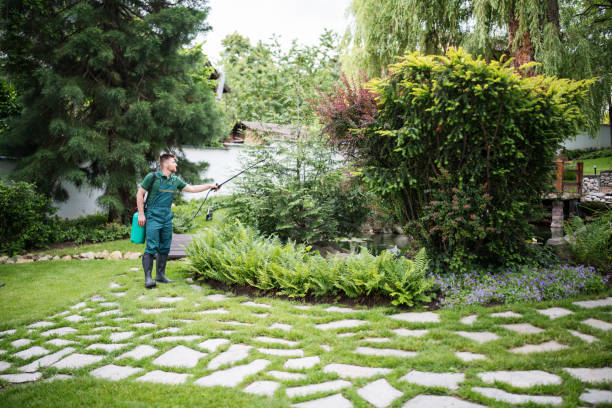 Best Wasp Removal Services  in Redan, GA