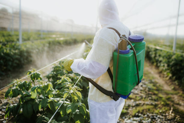 Best Pest Control Near Me  in Redan, GA